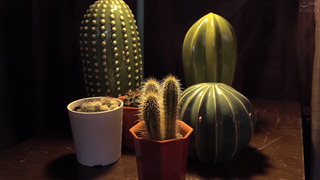 冴えない万年平社員がナマイキ年下上司の妻を寝取る!復讐の中出しセックス!真木今日子 冴えない万年平社員がナマイキ年下上司の妻を寝取る!復讐の中出しセックス!真木今日子