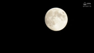 生徒会長×ギャルビアン 〜白が黒に染まるとき〜 五十嵐かな 冬愛ことね